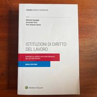 Istituzioni di diritto del lavoro