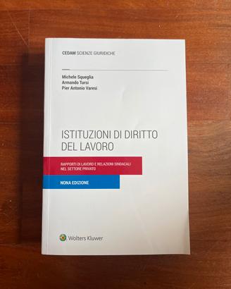 Istituzioni di diritto del lavoro