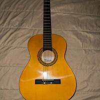 Chitarra  Stealton Lab