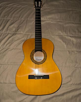 Chitarra  Stealton Lab