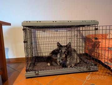 Kennel Ferplast con accessori