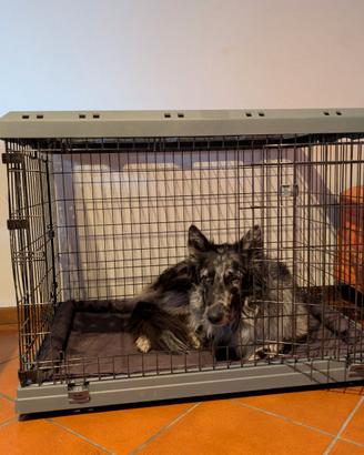 Kennel Ferplast con accessori