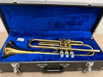 Tromba Dixon in Sib con custodia rigida