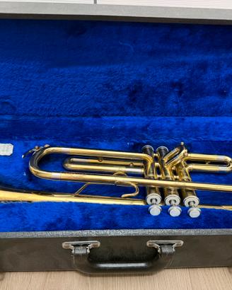 Tromba Dixon in Sib con custodia rigida