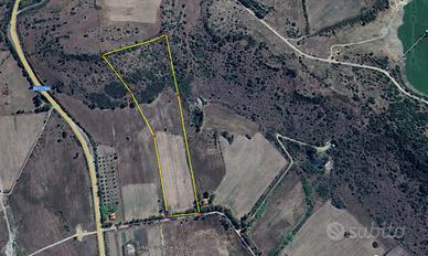Terreno 6 ettari Alghero - Uri - Ittiri