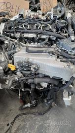 Motore DTS del Gruppo Volkswagen