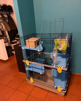 Gabbia per Cincillà o roditori