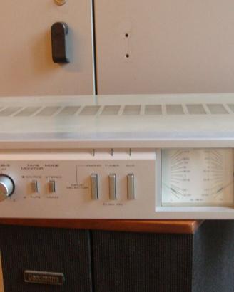 Amplificatore Akay AM-U11