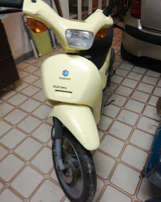 motorino free