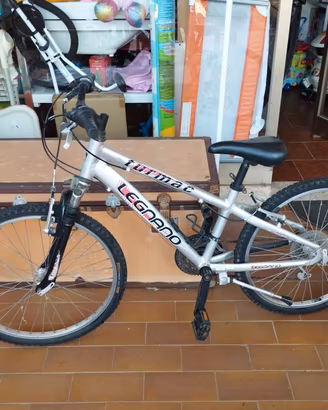 bicicletta 