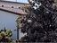 Immagine 21