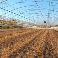 archi per serre o ricovero attrezzi 