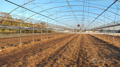 archi per serre o ricovero attrezzi 