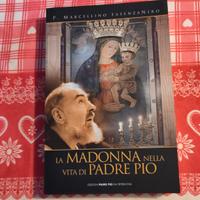 la madonna nella vita di padre Pio 