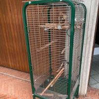 Gabbia pappagalli voliera