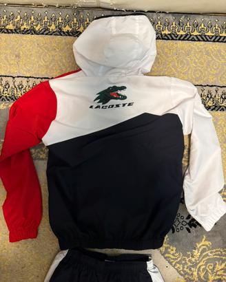 tuta lacoste