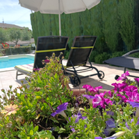 Last minute Assisi dal 29 giugno al 6 luglio