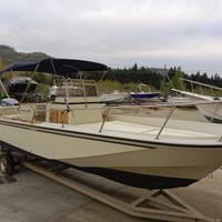 Boston Whaler 22 WD