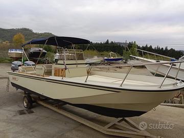 Boston Whaler 22 WD