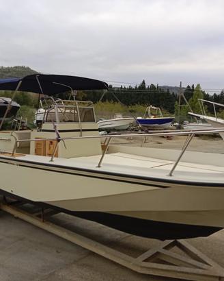 Boston Whaler 22 WD