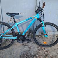 Bicicletta  mountan Bike