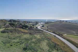 TER. AGRICOLO A CERVETERI