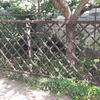 recinzione in legno per giardino o divisorio.