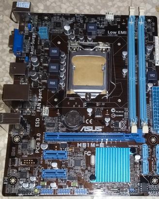 SCHEDA MADRE ASUS H61M-E