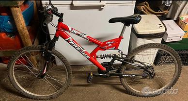 mountain bike