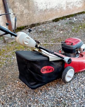 TOSAERBA PROFESSIONALE 
