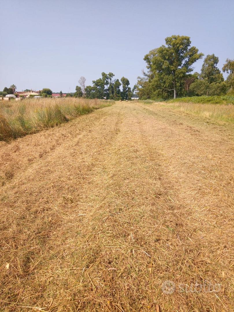 Sabaudia, 19.990 per 1,2 ha bio certificato - Vista 2