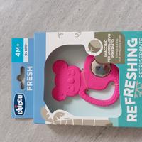 massaggia gengive nuovo koala refrigerante 