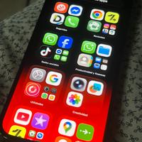 Iphone 13 pro max 256GB MILANO LEGGE