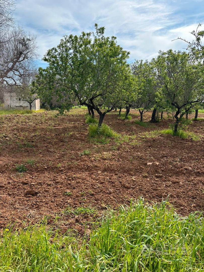 Terreno a San Vito dei Normanni - Vista 4