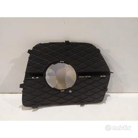 BMW X6 E71 Griglia Paraurti Destra - 14318
