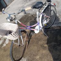 bici donna