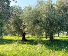 Terreno loc Monte Giove