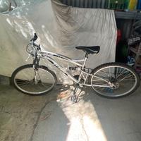 bicicletta
