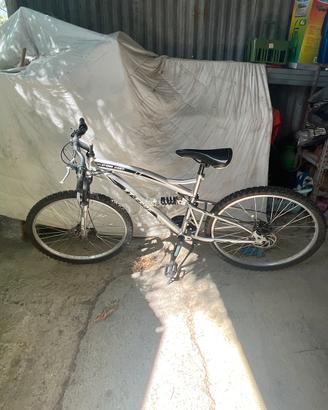 bicicletta