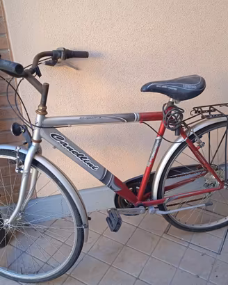 Bicicletta da uomo 