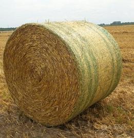 Rete Coveredge John Deere 130x3800