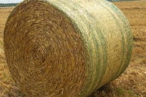 Rete Coveredge John Deere 130x3800