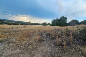Niu Crobu: Terreno agricolo