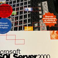 SQL Server 2000 developer edition