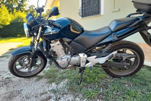 Honda CBF 500 - 2005