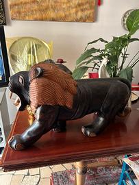 Leone africano di grosse dimensioni