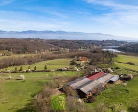 Azienda agricola zootecnica - Cavriglia AR | AZ300