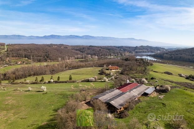 Azienda agricola zootecnica - Cavriglia AR Az.300