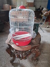 gabbia x uccellini