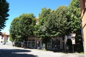 3 LOCALI A ORIGGIO